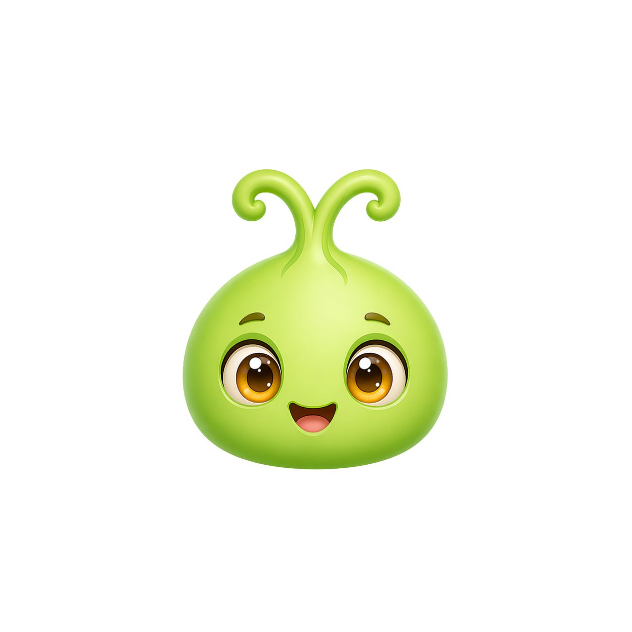 Spru